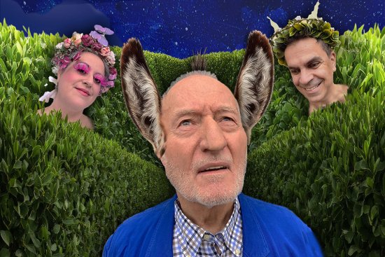 Ein total verrückter Sommernachtstraum}